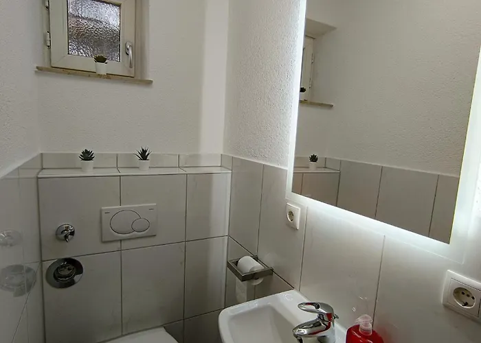 Hage Friedrichshafen